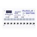   Electroestimulador Muscle Sense 10 salidas Gimnasia Pasiva